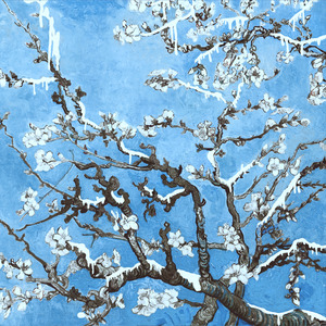 猫女面包加工厂原视频
