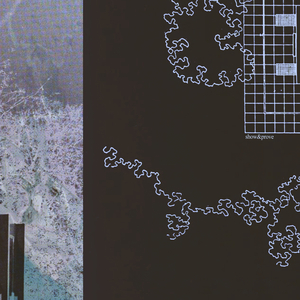 大梅婶读全文原文
