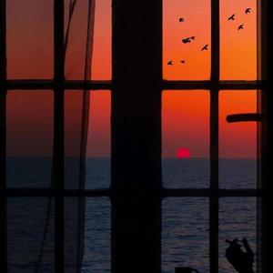 杨幂被黑大吊逼视频网络
