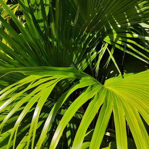 色欲一区二区三区四区
